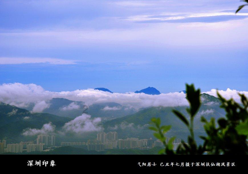 小猫钓鱼游戏龙王版有船
