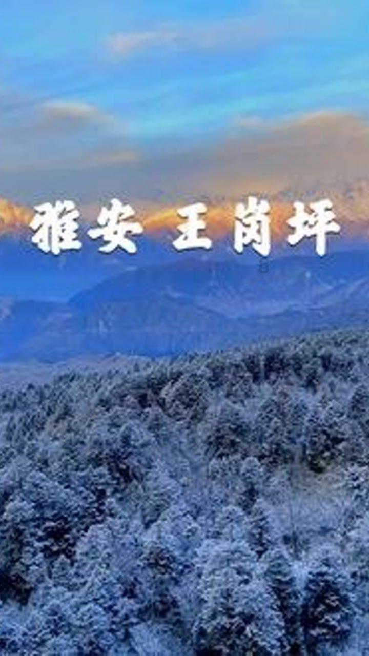 巧虎踢足球终结版