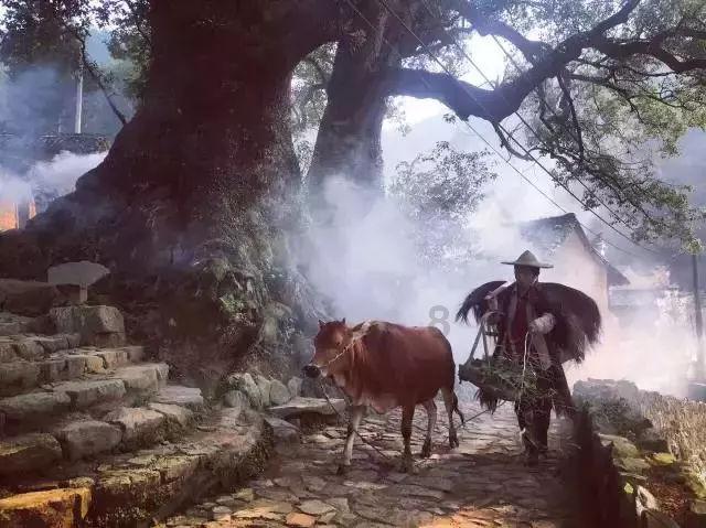 excel怎么复制一个一模一样的表格游戏画面