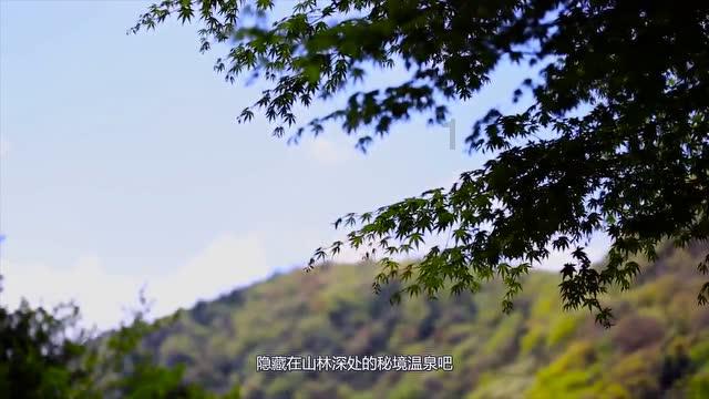 儒家思想与道家思想有何不同？游戏画面