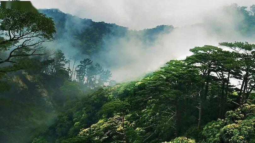 脑洞小老弟无实名认证