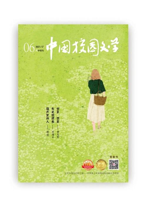 维京人之战