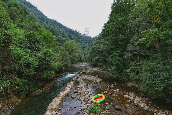 缤纷水果茶
