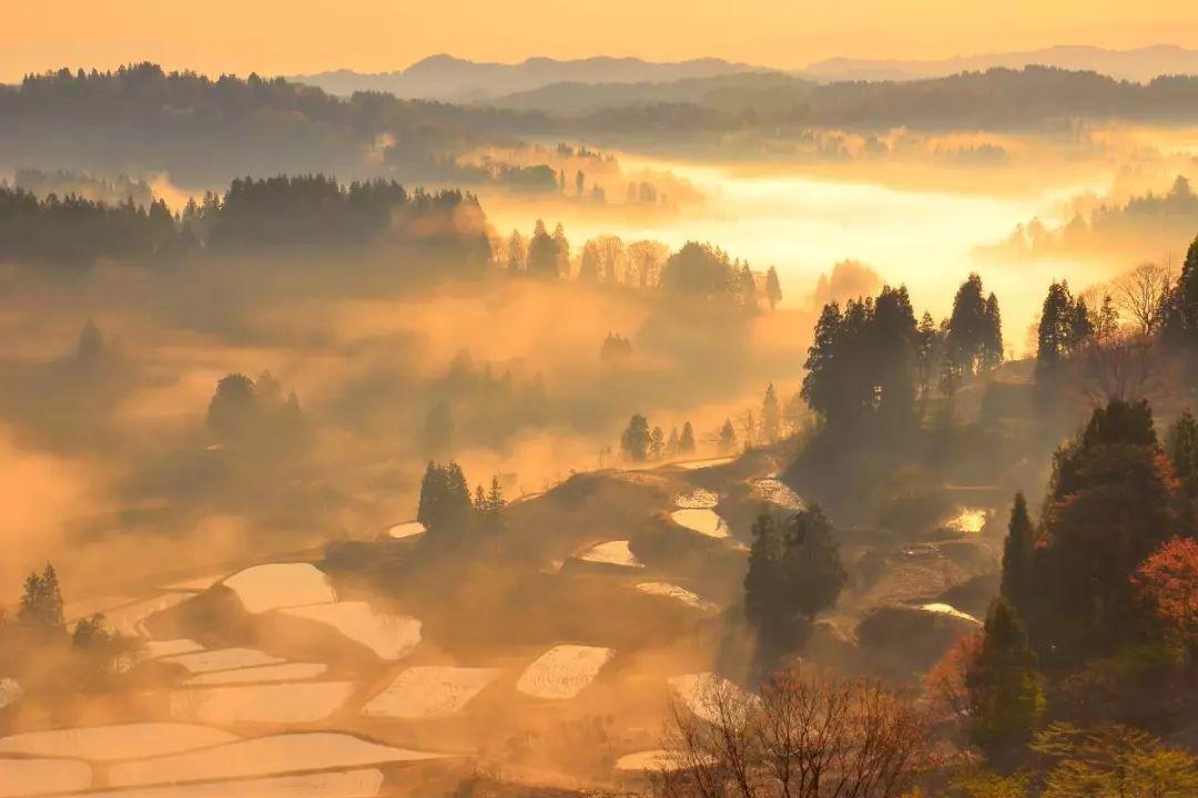 捅C对阵Pangeyo 《冒险岛：联盟的意志》中韩玩家巅峰对决即将开播