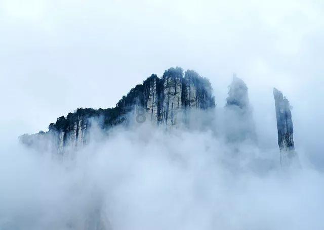 有风来丨“山花”如何烂漫
