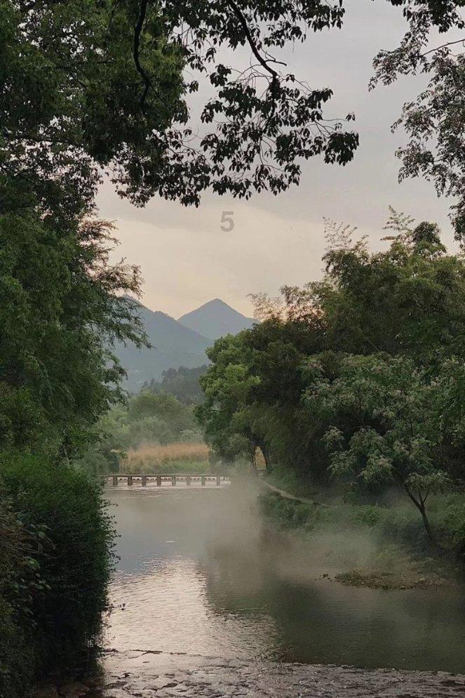小猫钓鱼游戏龙王版有船