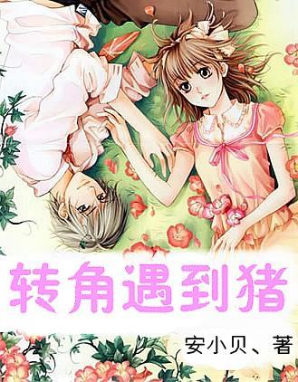 美妙冬季拼图
