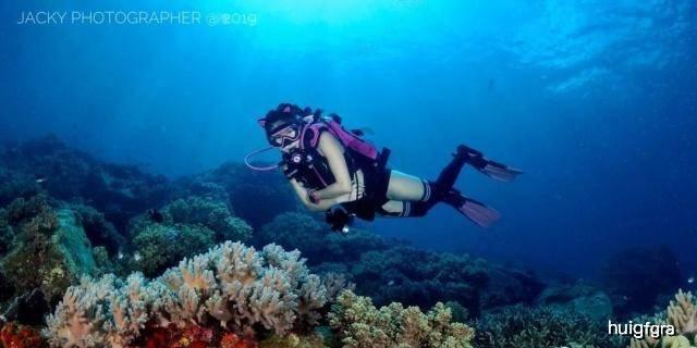 贝索斯53岁未婚妻罕见跟哈里同框，还盛赞了王子，双双获奖惹争议