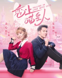 为什么很多女性不愿意做上环这个手术，其实是这样的