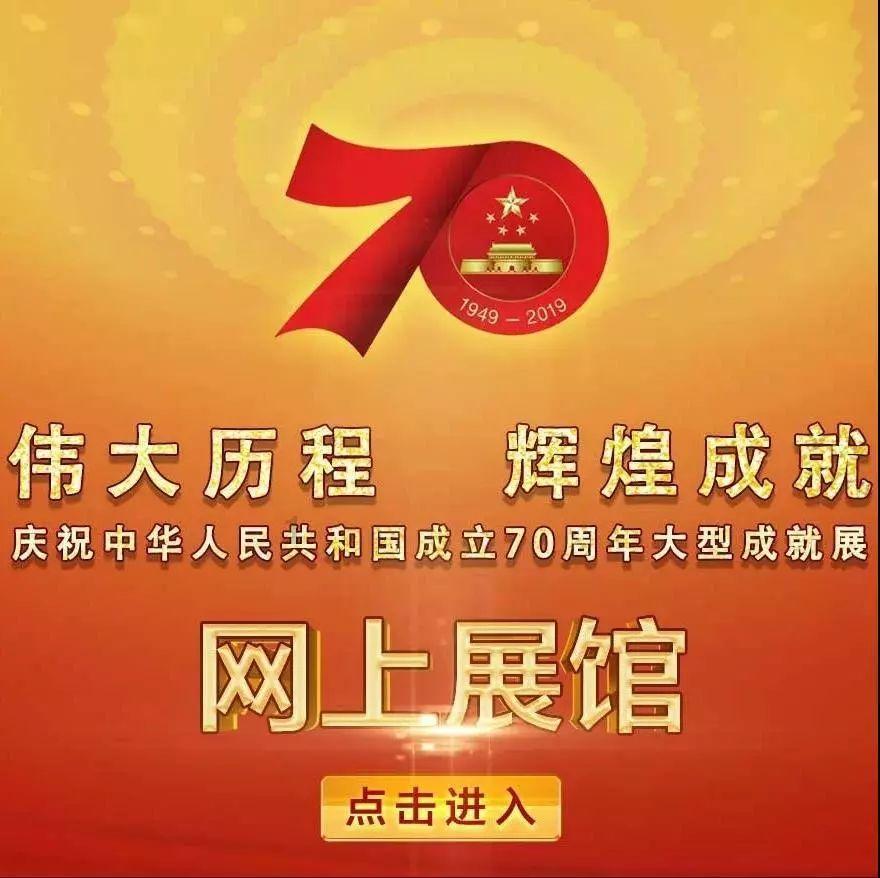 胖小猫救援
