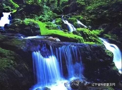 拯救巧虎4