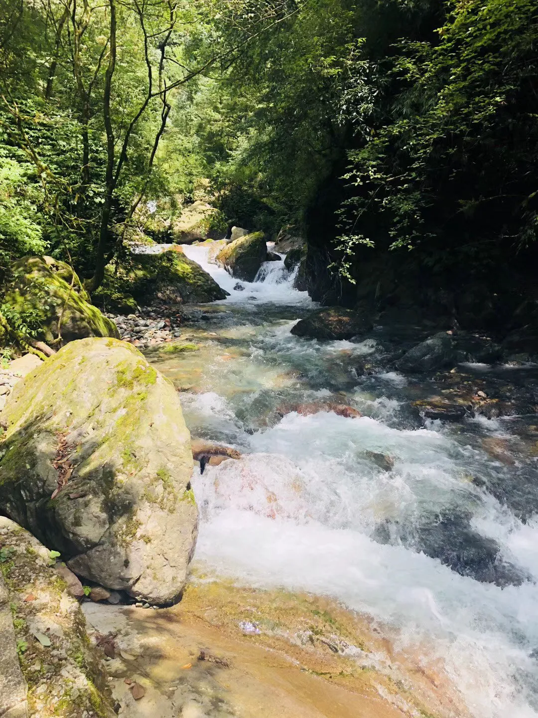 静谧飞行