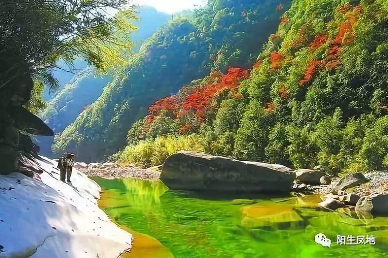 榴莲有着很大的滋补功效，应该怎么做适合孕妈咪吃？游戏画面