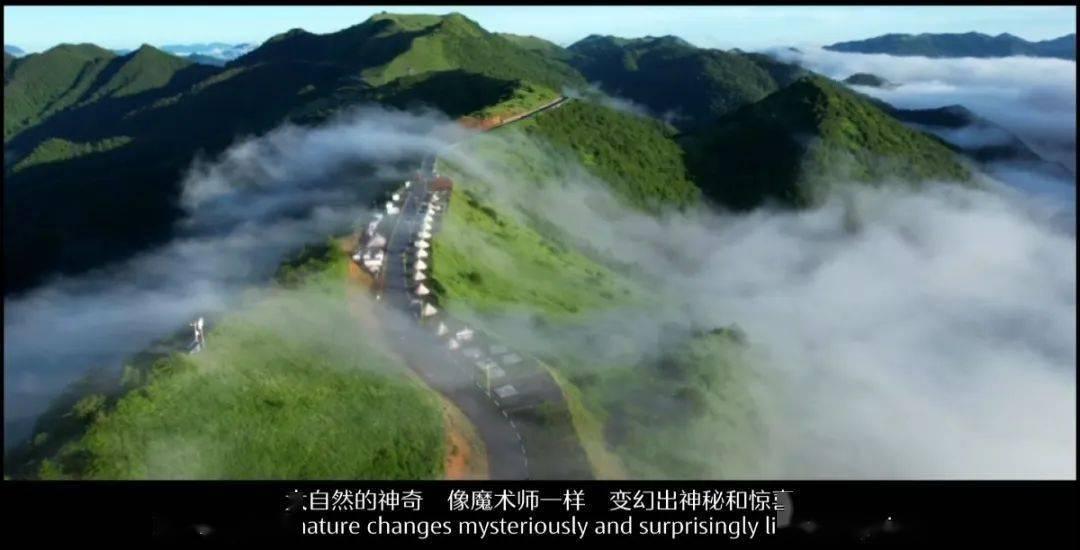 水浒传中，已经出家的鲁智深不肯脱下袈裟蓄发还俗，这是为何呢？游戏画面