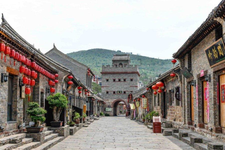 动物帮帮忙保卫家园