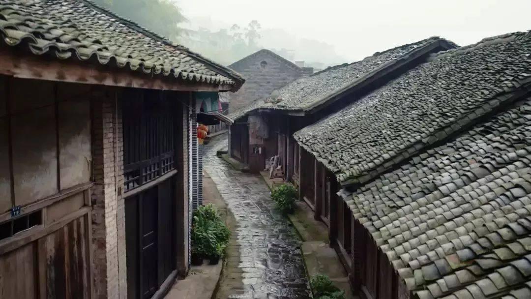 逃离月日森林
