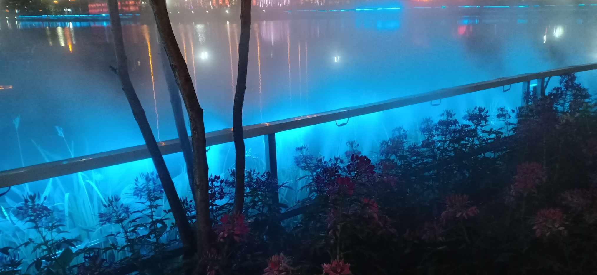 好人一定有好报!男子时隔1年登门归还150元房租
